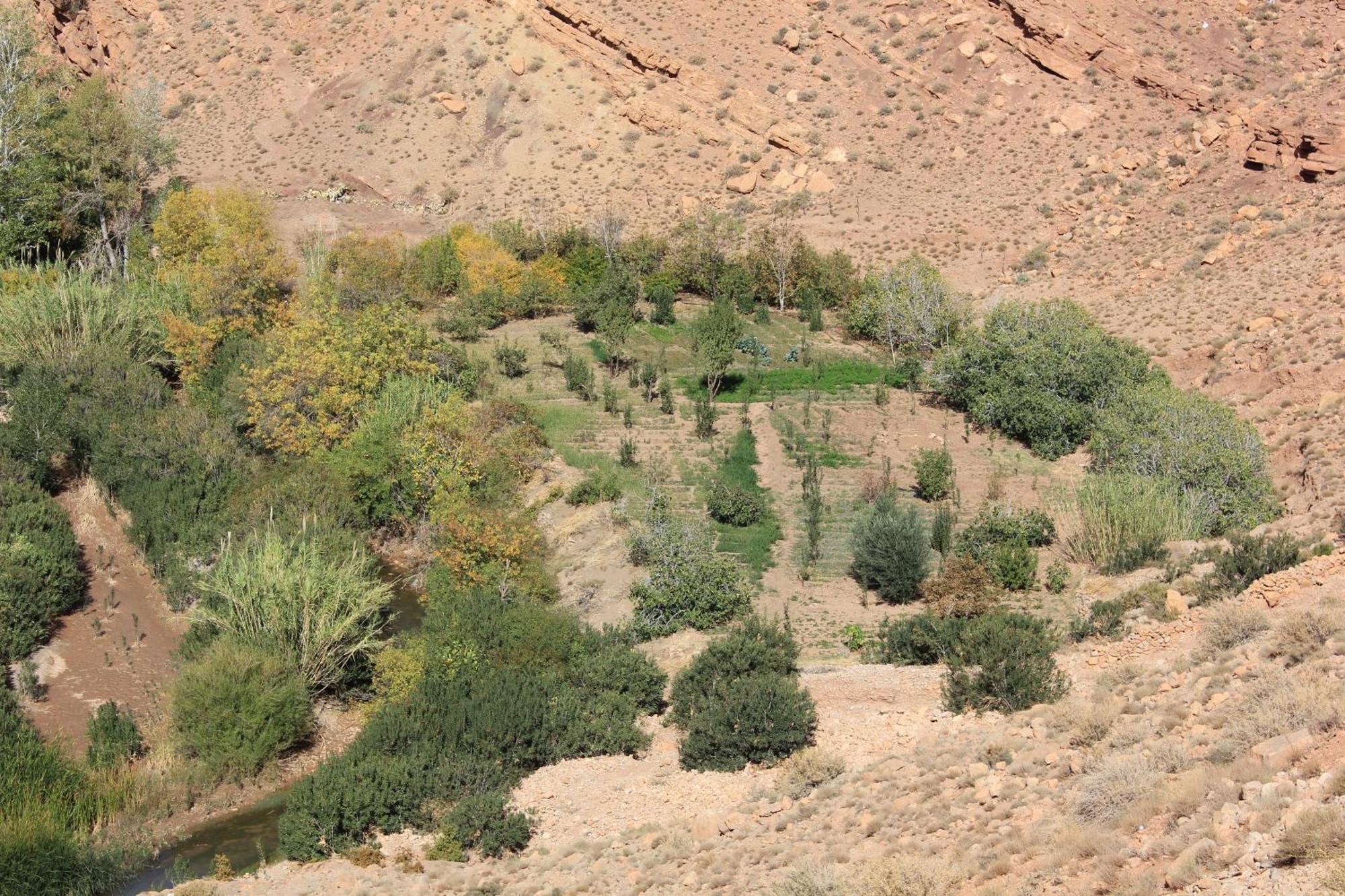 Kasbah Lucas Akhendachou n'Ait Ouffi Exterior foto